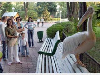 ��������� �������� &mdash; 