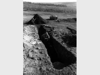 ҳ�� �������