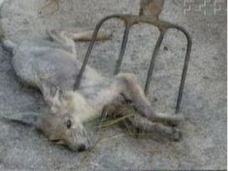 �� ������������ ���������� ���� ������������ ����� �����