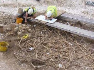 �������������� ����������� ������������� ������������ ��������