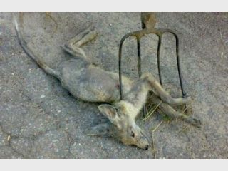 �� ������������ ����� ��� ���� 