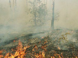 � ���������������� ������� � ���� ��������� ������� ������� ������� ������