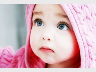 ��������������: � ������� 44% ����� �� ����� ����������� �������� ���������� ������� ����������