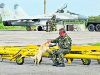 �������: 