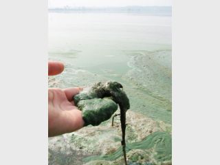 �������� ���� ������������ � �������. ��� ������ � �����������