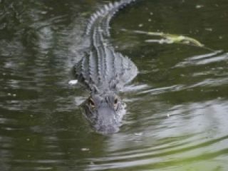 �������� ������� ����� 3-������� �������� � ������ ������� �������� � �����