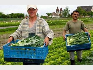 �������� �������� 3 ��� ���������-�������������� 