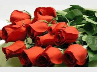 ���� � ������� ���������� �� 80 ������� �� ����� 