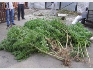 ������� ��������� �� ����������� �������, ������������� ������� 