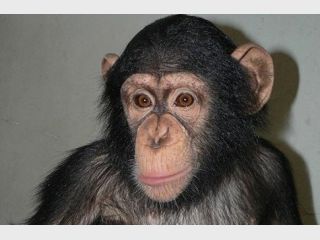 ������� ������ ����� � ������� ������������