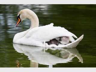 � �������� �������� �� ��� �� ���� ������� ��� ����� ������