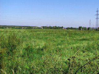 ����������� ����� ��������� ���� �� ����� ����������� ��������� 2,5 �� ����� � �������