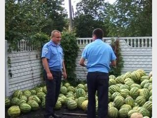 � ������� ������� ���������� ����� 13 ���� ������������ �������