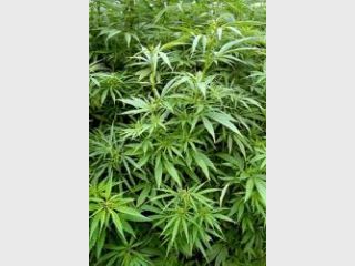 ��������� ������� ����� ������� � ������������� �������� �����