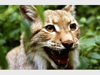 �� �������� � ����������� ������� ������ ���� 