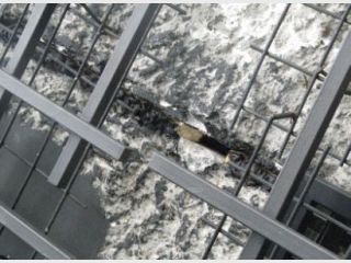 �������� ������� �����������, ������� ������ ������, ����� ���������