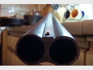 ���� � ��� ������ ���������� ������������� ��� ���������� �� ���������