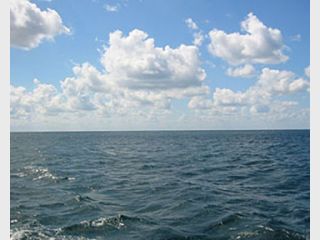 ������� ��� ������ ������� ����� 