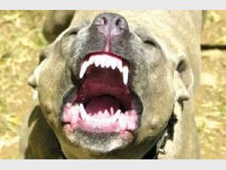 � ���������� ������� ������� ����������� �������