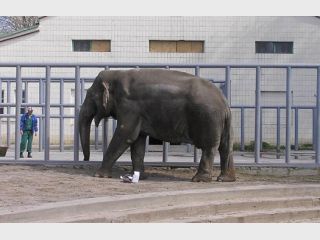 ����� �������� ��������� �������� �������� ������ ����� 