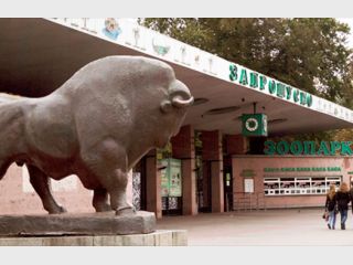 �������� ������� �������� 