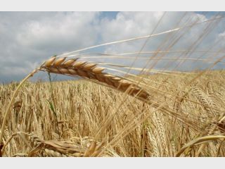 ������� ����� ����� �� ������� ����� 