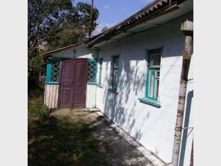 ������ �� �������������� �������, 28-������ ������ ���������� ���� ���� ������������