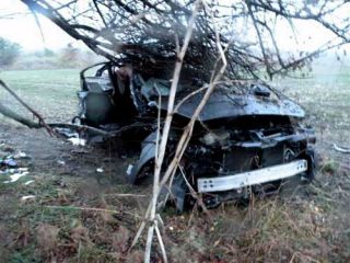 ���� �������� 