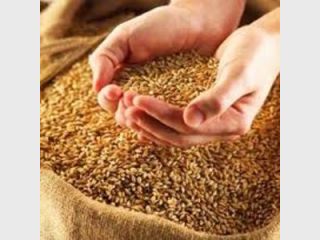 � ������ ������� ������������� 472 ���. ���� �����