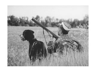 ��������� ����� ��������� � �����