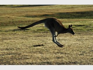 � ��������� ��� ��������� ������ ����� ������� 