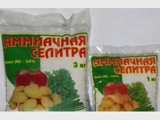 ������� �������� ��������������� ������������� ������� ���������