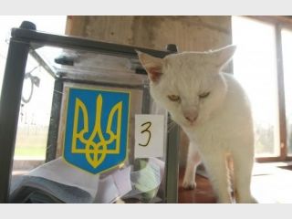 ����������� �� ������� ������� �� ������ ������ � ���� ���������� 