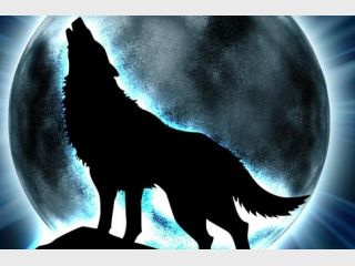 ��� ������� �������� ������� ������������ �����