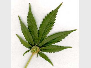 ��������� � ������� ����������