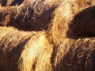 � ������� ������� ����� ��������� 700 ���� ����