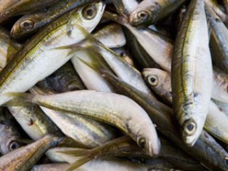 ������� � ���� �������� ��������� ��������� ������������� � ������� ����