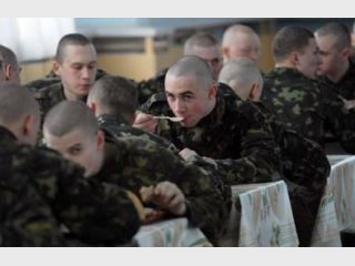 ����������� ���� ������� �������� �� 20% 