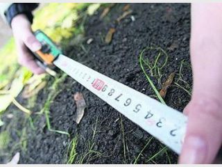 ������������ �������� � ������� ����� ����� ������