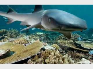 ������: � ���������� ���� ��������� ����������� �������� 