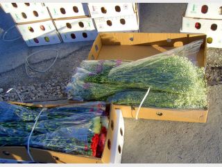 �������� ������� ����������� ����� ������ � ���������