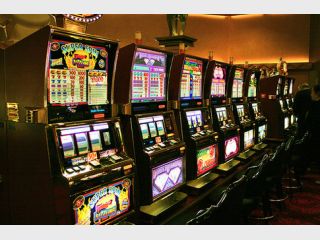 �� ��������� ������������ ������������� 41 ����������� ������� ���������