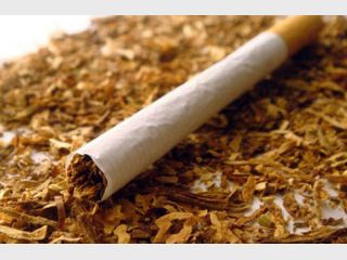 ����� 20% ������� � ������� &mdash; �����������