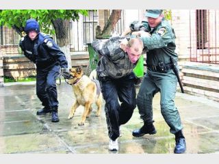 ����������� ����� �� �������� � ���������� � �������� �������� ���������