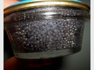 ������� �� ��������� ������������� ������ ���� �� �������