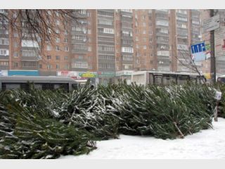 ��������� ������� ���� �� ���������