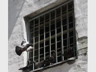 ����� ���������� ��������: 