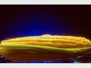 �������� ������ ��������, � ������� ����� �������������� ��� 