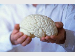 ���� ��� ���. ��� ���� ����������� ��������������� 