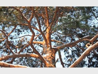 ������� ������� ��������� � ������� �������� ����� 